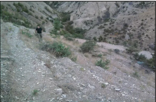 Şekil 4. Deneme alanından görünüm 