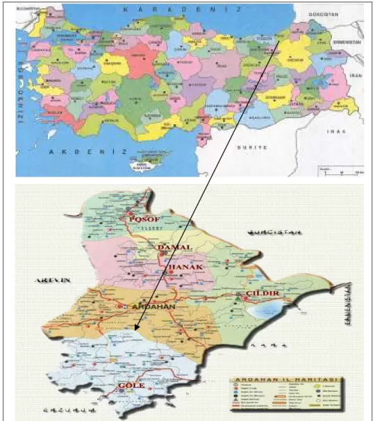 Şekil 2. Araştırma alanının konumu 