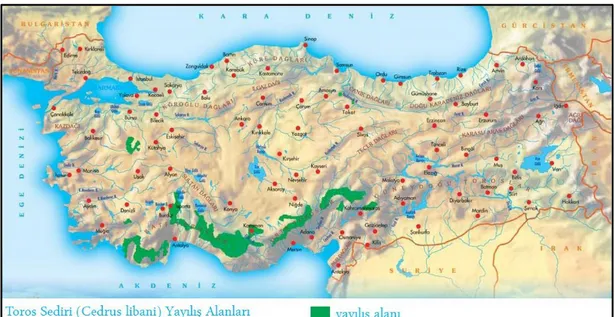 Şekil 2. Toros Sedirinin Türkiye’deki Doğal Yayılışı (Anonim, 2011) 