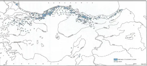 ġekil 1. Doğu Kayının Türkiye’deki yayılıĢ alanı (Günal, 1997). 