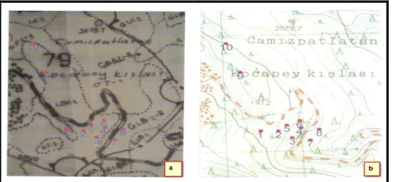 ġekil  8.  Yayla  Tohum  MeĢceresinde  Tohum  Toplanan  Ağaçların  MeĢcere  (a)  ve  Memleket (b) Haritalarındaki Yerleri  