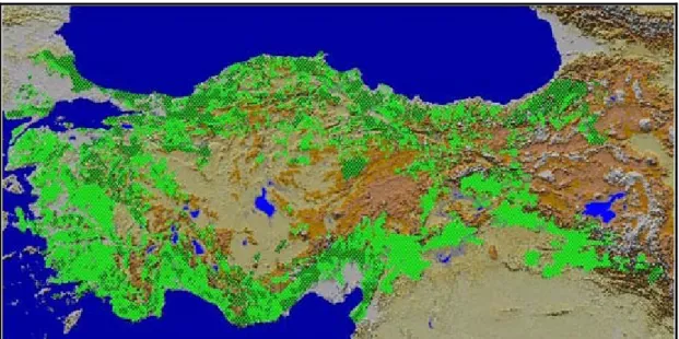 Şekil 6. Türkiye’nin orman varlığı [73]. 