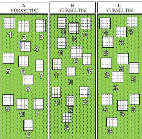 Şekil  9.  Araştırma  alanında  belirlenen  üç  farklı  yükselti  kademesinde  parsellerin  ve  tel kafeslerin (kuadratların) yerleşim krokisi