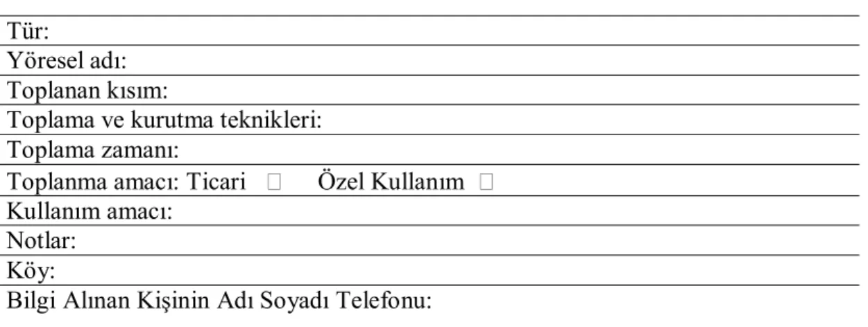 Tablo 6. Bilgi formu   Tür: 