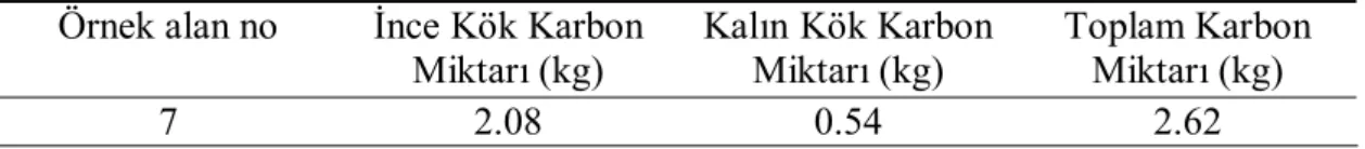 Tablo 14. Yedi nolu örnek alanı toprak altı karbon miktarı  Örnek alan no  İnce Kök Karbon 