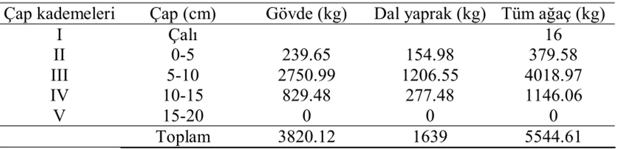 Tablo  14’te  7  nolu  örnek  alanda  ki  hesaplanan  toplam  karbon  miktarının  2.08kg’ı  ince köklerde, 0.54kg ise kalın köklerde bulunduğu belirlenmiştir