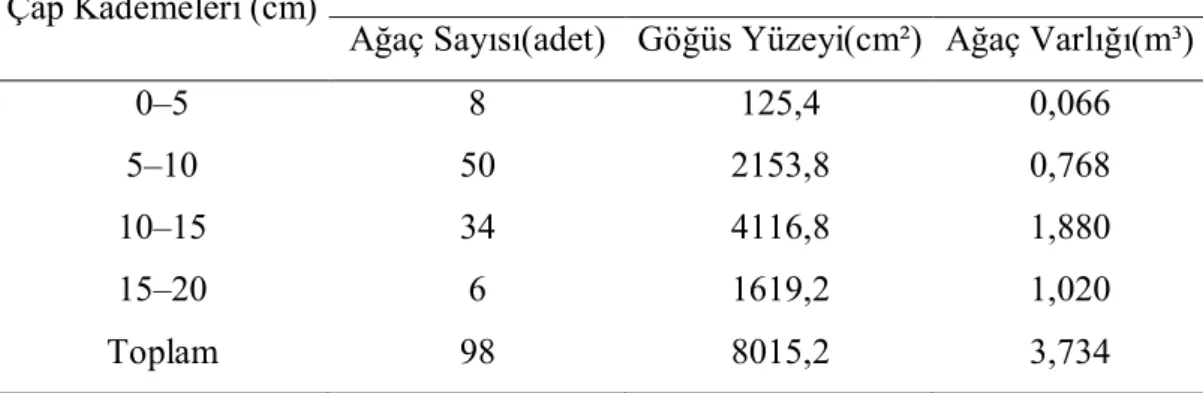 Tablo 10. 10 numaralı örnek alan  Çap Kademeleri (cm) 