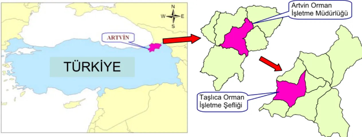 Şekil 1. Taşlıca Orman İşletme Şefliği’nin konumu. 