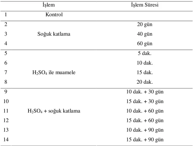 Tablo 3. Pyracantha coccinea Türünde Uygulanılan İşlemler 