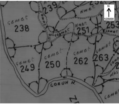 Şekil 9. Salkımlı  Ağaçlandırma Sahasının Saçinka Orman İşletme  Şefliği Meşcere  Haritasındaki Yeri (Anonim, 1985) 