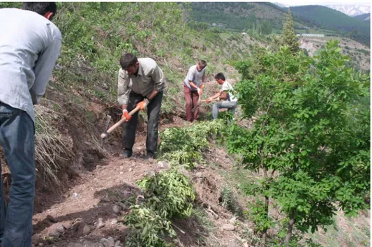 Şekil 11. Teras Alanının Hazırlanması 