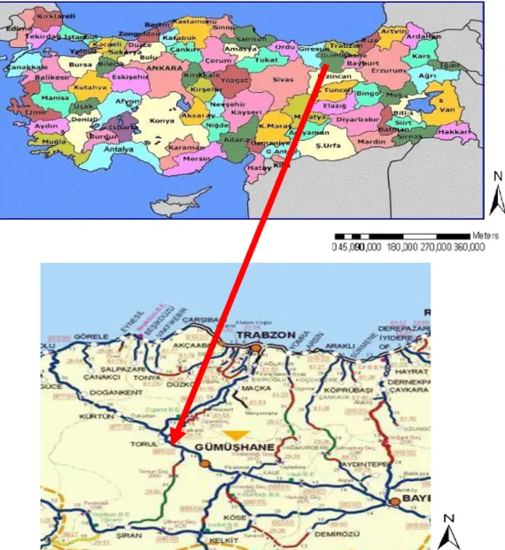 ġekil 1. AraĢtırma Alanının Konumu 