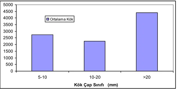 ġekil 10. Kök Çap Sınıflarına Göre Ortalama Kalın Kök Kütlesi DeğiĢimi (kg) 