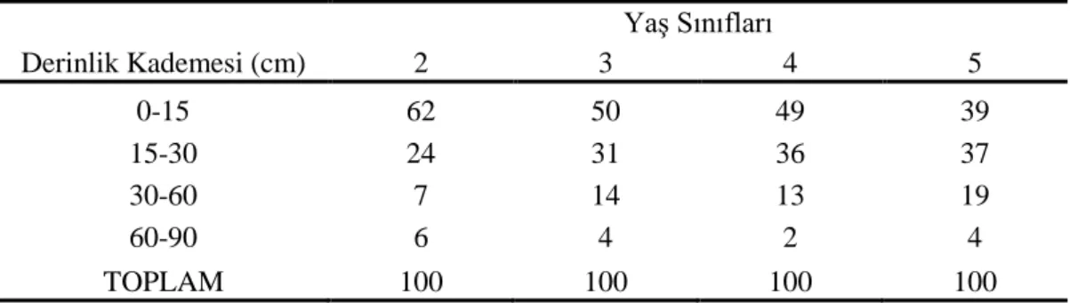 Tablo 8.  YaĢ Sınıfı-Derinlik Kademesi ĠliĢkisine Göre Kalın Kök Kütlesinin % Dağılımı