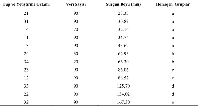 Tablo 8. Tüp ve Yetiştirme Ortamı ile Morfolojik Karakterlere İlişkin Duncan Testi 