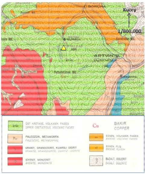 Şekil 6. A Araştırma Allanın Jeolojiik Haritası Araştırma esmer orm a alanın içeman toprağı  erisindeki  abulunmakta akasyalık  aadır