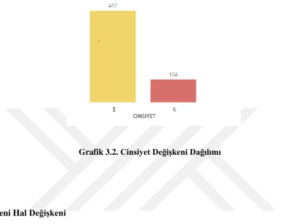 Grafik 3.2. Cinsiyet Değişkeni Dağılımı   