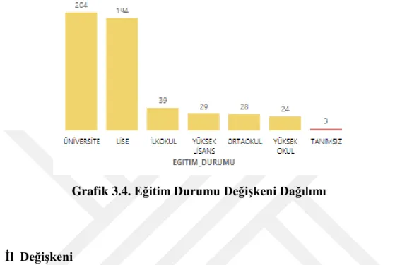 Grafik 3.5. İl   Değişkeni Dağılımı            