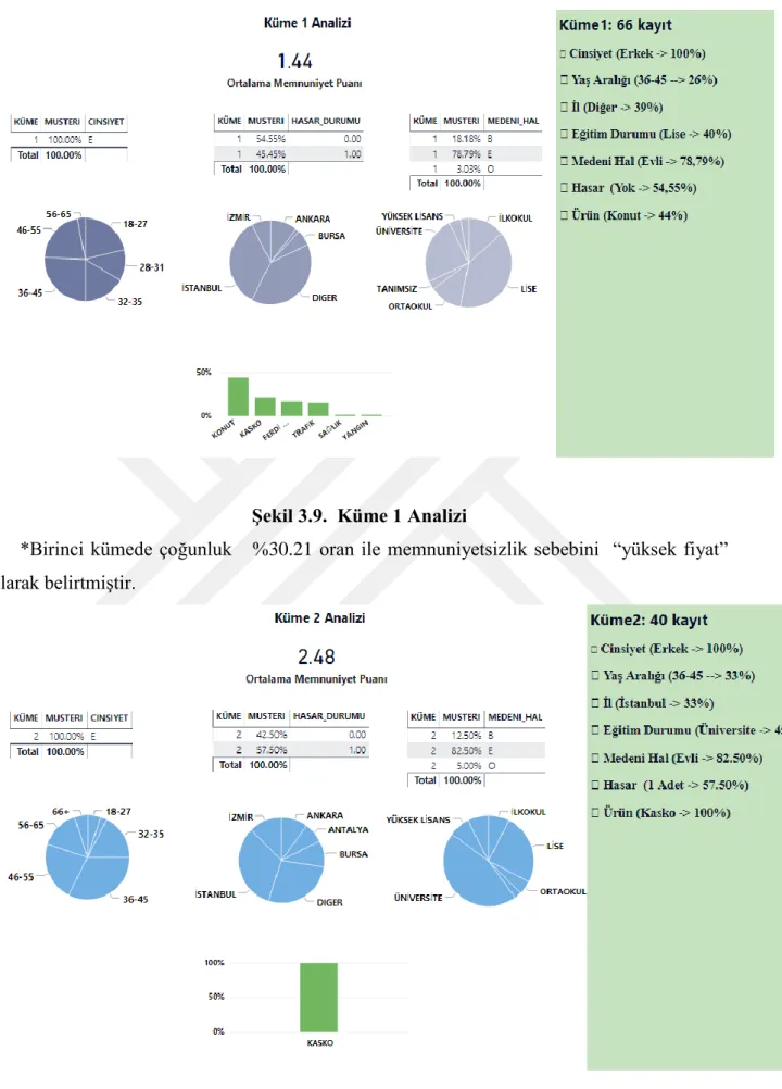 Şekil 3.9.  Küme 1 Analizi 