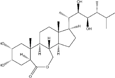 Şekil 2. 4. 24-Epibrassinolid’in yapısı [43] 