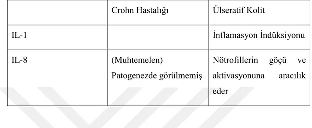 Tablo 2. 1. Sitokinlerin hastalığa bağlı immünolojik ve patolojik etkileri [32].   Crohn Hastalığı  Ülseratif Kolit 