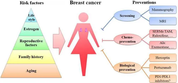 Şekil 1. 3. Meme kanseri risk faktörleri ve önlenmesinin şematik gösterimi (Sun ve  ark