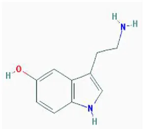 Şekil 1.4. Serotoninin kimyasal yapısı (pubmedchem.org) 