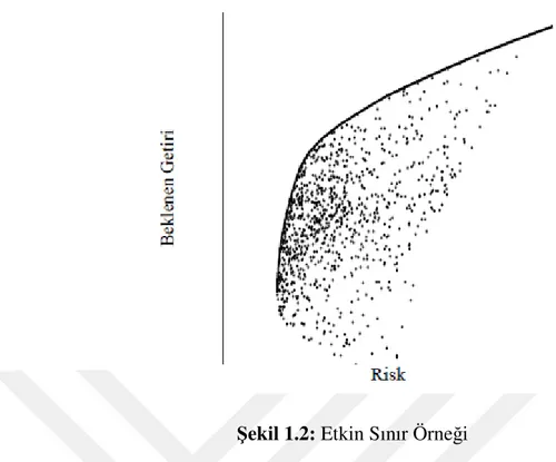 Şekil 1.2: Etkin Sınır Örneği 