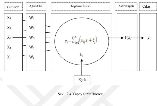 Şekil 2.4 Yapay Sinir Hücresi 