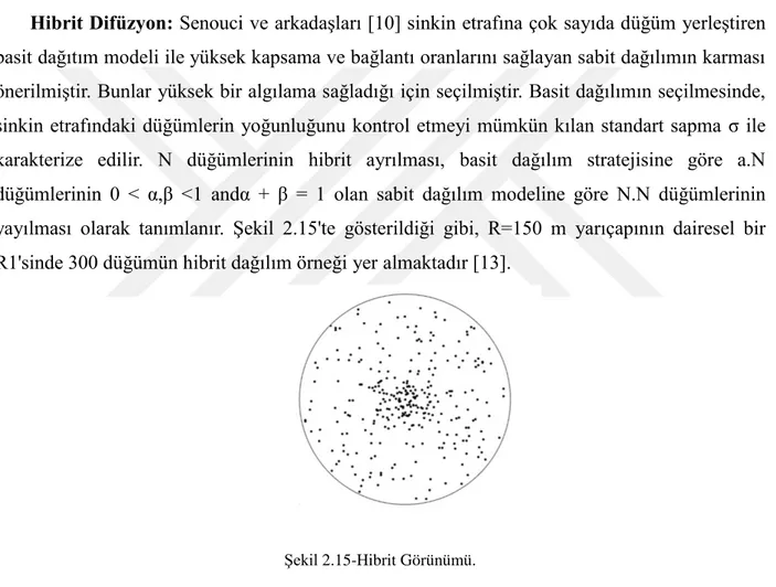 Şekil 2.14'te görüldüğü gibi, düğüm sayısı 16, ROI ise 1000 hücre içerir. 