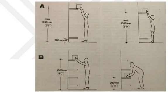 Şekil 52: A: Bireylerin Max. Raf Erişim Yüksekliği  B: ağır ve kırılacak ürünlerin  konulacağı max