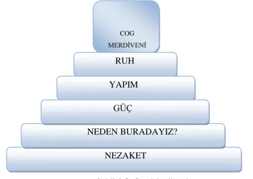 Şekil 3.2. Cog Merdiveni 