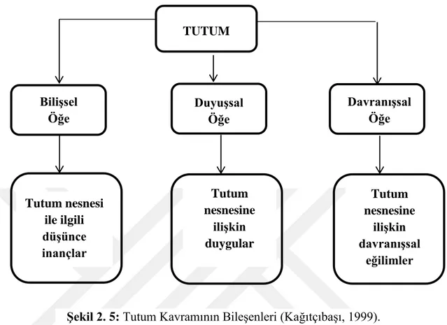 Şekil 2. 5: Tutum Kavramının Bileşenleri (Kağıtçıbaşı, 1999). 