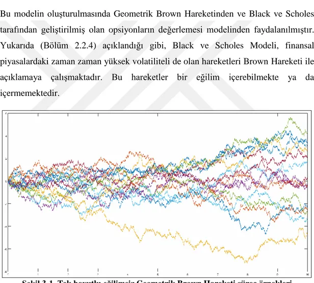 Şekil 3-1. Tek boyutlu eğilimsiz Geometrik Brown Hareketi süreç örnekleri  