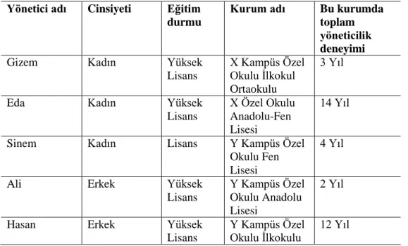 Tablo 5: Yönetici bilgileri 