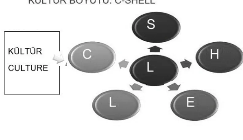 Şekil 7. C - SHELL Model 