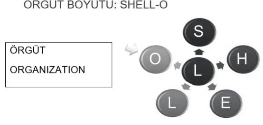 Şekil 8. SHELL - O Modeli 