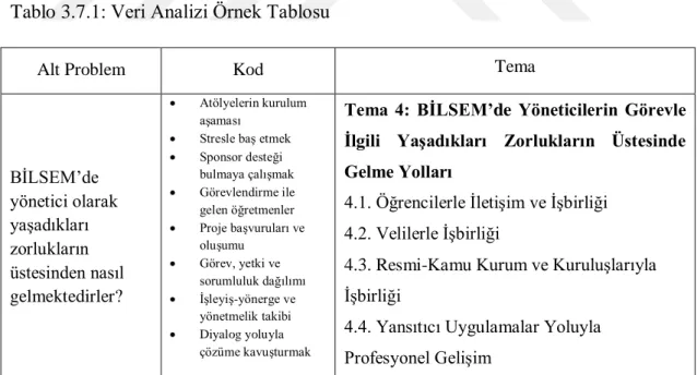Tablo 3.7.1: Veri Analizi Örnek Tablosu 