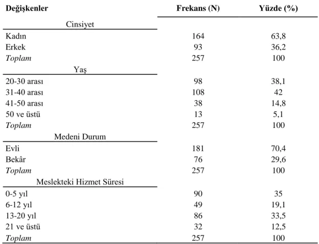 Tablo 4: Araştırmaya Katılan Kişilerin Demografik Özellikleri 