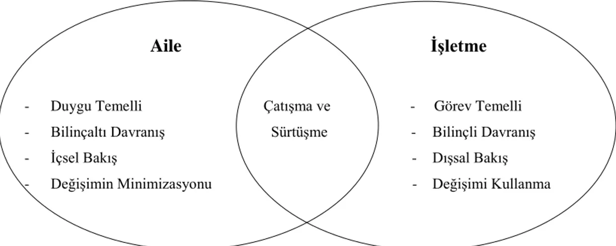 Şekil 3.1: Aile ve İşletme Sistemlerinin Kesişimi 