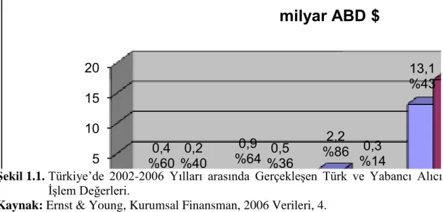 Şekil 1.1.  Türkiye’de  2002-2006  Yılları  arasında  Gerçekleşen  Türk  ve  Yabancı  Alıcı 