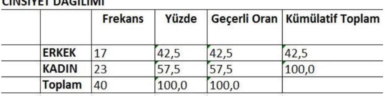 Tablo 2. Cinsiyet Dağılımı Tablosu. 