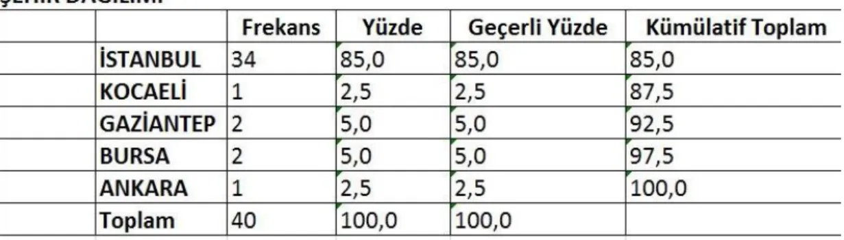 Tablo 6. Eğitime Katılan Kişilerin Eğitime Katıldıkları Şehirlerin Dağılımı Tablosu. 