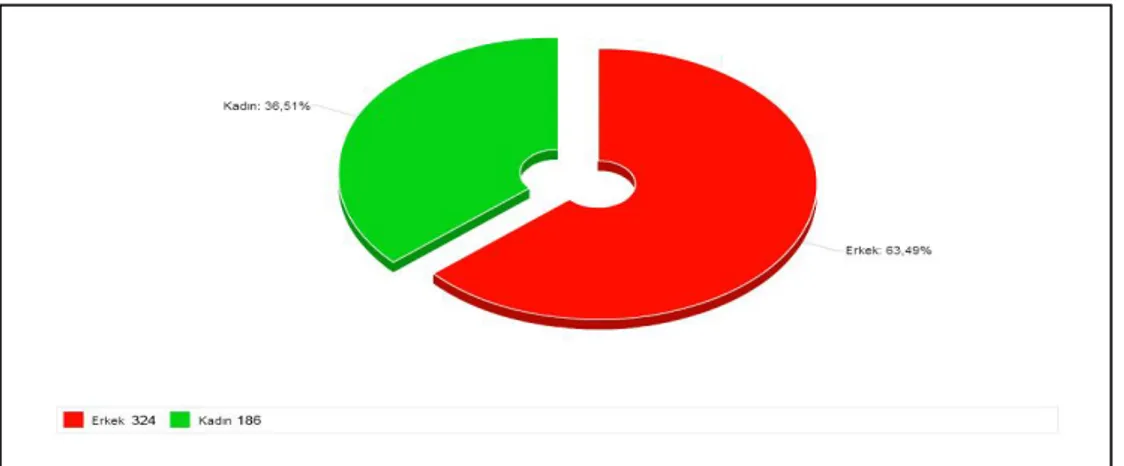 Grafik 4.1. Cinsiyete Göre Anket Katılımcıları 