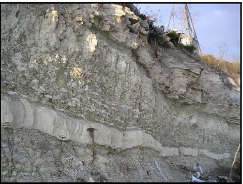 Şekil 2.12: Bakırköy formasyonuna ait yüzlek görüntüsü (İ.B.B. Deprem ve Zemin İnceleme  Müd., 2011) 