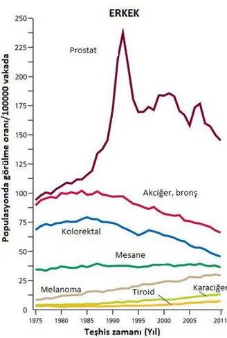 Şekil  1.1.  Erkeklerde  farklı  kanser  tiplerinde  yıllık  konulan  teşhis  oranları, Amerika Birleşik Devletleri, 1975-2011 (Siegel ve ark