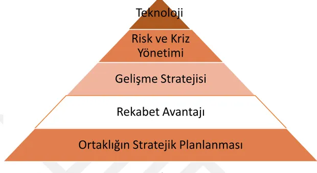 Şekil 3.1: Risk Sermayedarlarının Stratejik Bakış Açısı  