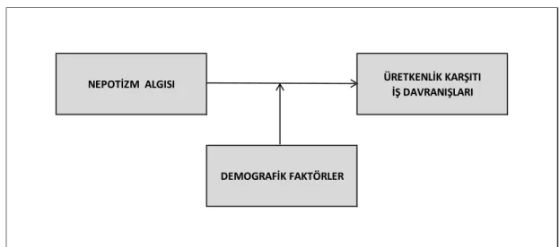 Şekil 3.1. Araştırmanın Modeli 