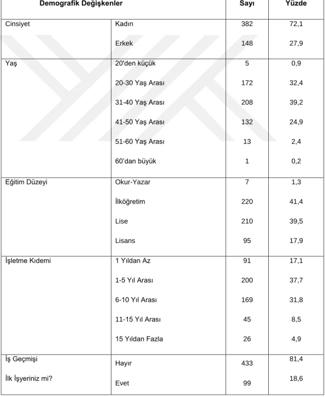 Tablo 3.3. Demografik değişkenler tablosu 