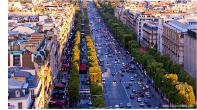 Şekil 4.22: 5th Avenue (Url-14)                            Şekil 4.23: Champs-Elysees (Url-15) 